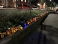 Pumpkin-Parade-night